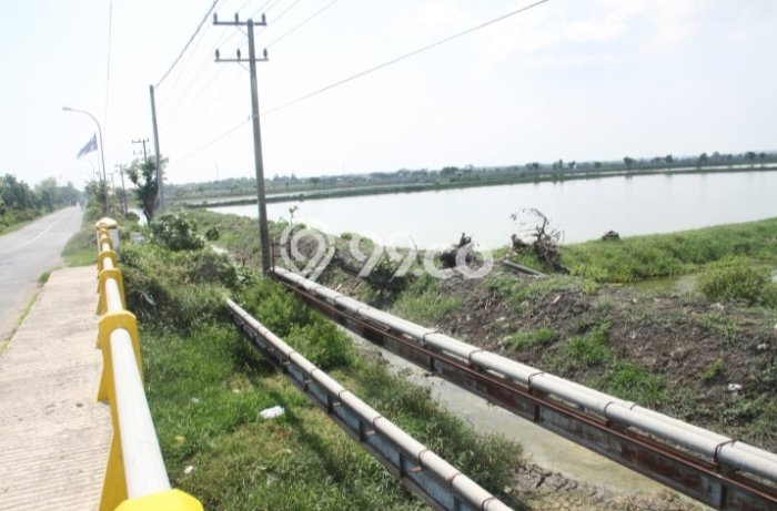 Kavling Tanah Dijual di Sidayu, Gresik, Luas 81000m2 Area Strategis Kavling Tanah Dijual di Sidayu, Gresik, Luas 81000m2 Area Strategis