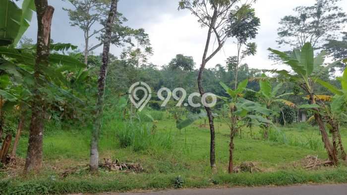 Tanah di Pandaan, Pasuruan Luas 4193m2 Dijual Segera Tanah di Pandaan, Pasuruan Luas 4193m2 Dijual Segera