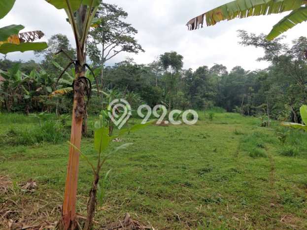 Tanah di Pandaan, Pasuruan Luas 4193m2 Dijual Segera Tanah di Pandaan, Pasuruan Luas 4193m2 Dijual Segera