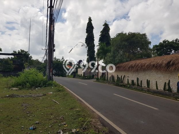 Tanah Kavling Dijual di Balangan, Badung dengan Luas Tanah 2000m2 Tanah Kavling Dijual di Balangan, Badung dengan Luas Tanah 2000m2