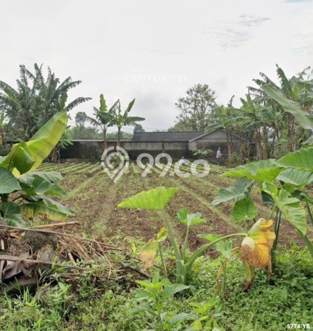 Tanah Dijual Lokasi Sukalarang, Sukabumi dengan Luas Tanah 2000m2 dan Status SHM Tanah Dijual Lokasi Sukalarang, Sukabumi dengan Luas Tanah 2000m2 dan Status SHM