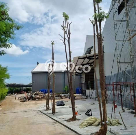Gudang Dijual di Prime Area Jakarta Utara Luas 72m2 Gudang Dijual di Prime Area Jakarta Utara Luas 72m2
