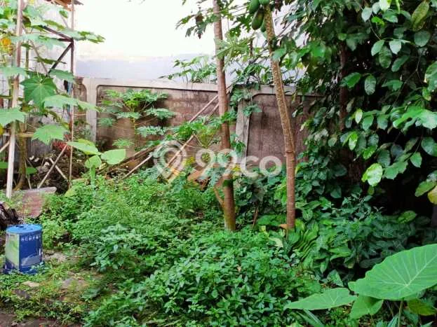 Dijual Hunian Mewah dengan Fasilitas Sekitar Komplit di Cilandak, Jakarta Selatan Dijual Hunian Mewah dengan Fasilitas Sekitar Komplit di Cilandak, Jakarta Selatan