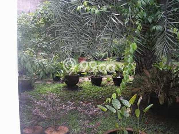 Siap Huni Hunian Elit 4 Kamar di Jagakarsa Dekat ke Mana Saja Siap Huni Hunian Elit 4 Kamar di Jagakarsa Dekat ke Mana Saja