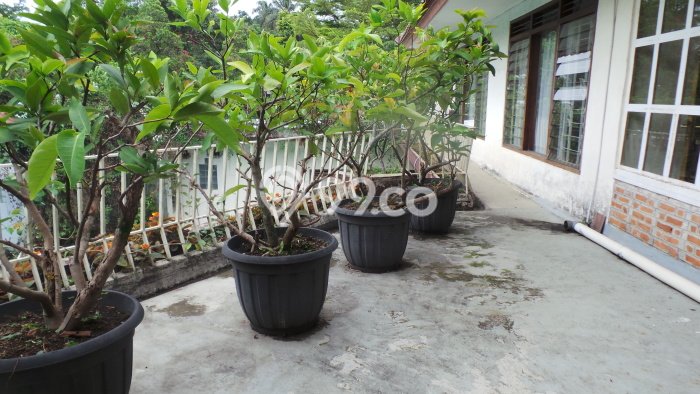 Untuk Dijual! Komersial di Gadog Bogor LT 6000m2 / LB 1000m2 Kawasan Bisnis Untuk Dijual! Komersial di Gadog Bogor LT 6000m2 / LB 1000m2 Kawasan Bisnis