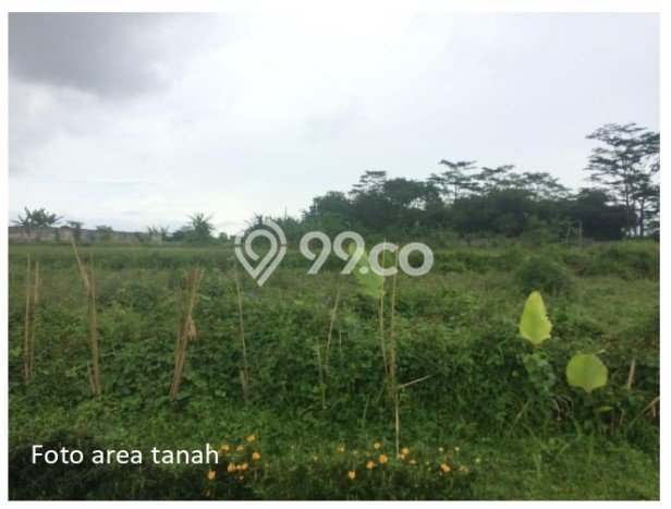 Tanah Dijual di Bogor Seluas 22500m2 Strategis Tanah Dijual di Bogor Seluas 22500m2 Strategis