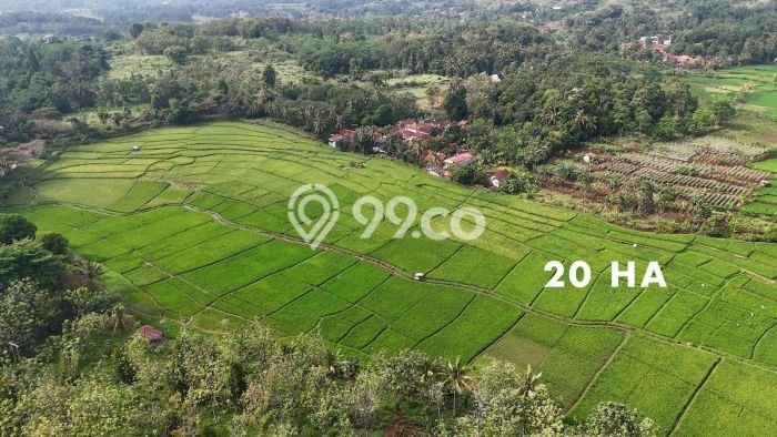 Tanah untuk Dijual di Cianjur Cianjur Luas 270000m2 Tanah untuk Dijual di Cianjur Cianjur Luas 270000m2