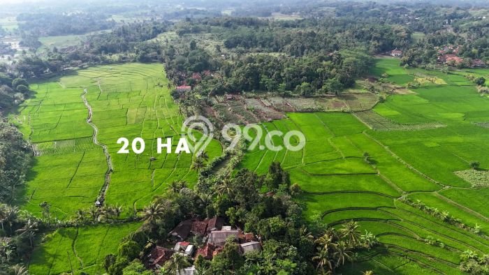 Tanah untuk Dijual di Cianjur Cianjur Luas 270000m2 Tanah untuk Dijual di Cianjur Cianjur Luas 270000m2