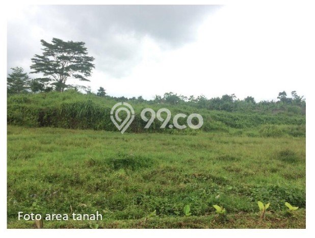 Tanah Dijual di Bogor Seluas 22500m2 Strategis Tanah Dijual di Bogor Seluas 22500m2 Strategis
