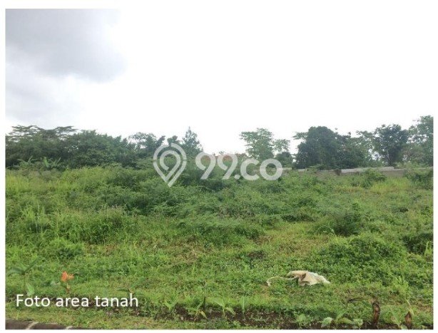 Tanah Dijual di Bogor Seluas 22500m2 Strategis Tanah Dijual di Bogor Seluas 22500m2 Strategis