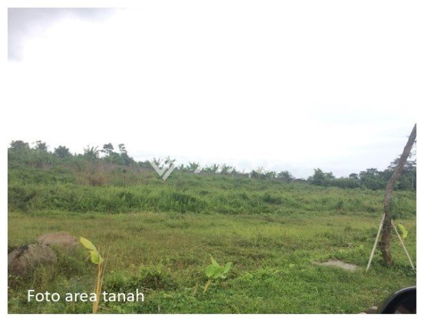 Tanah Dijual di Bogor Seluas 22500m2 Strategis Tanah Dijual di Bogor Seluas 22500m2 Strategis