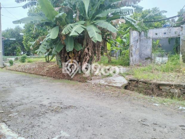 Dijual Rumah Murah di Bojong Gede Bogor Harga Rp 350 Juta LT 195m2 Dijual Rumah Murah di Bojong Gede Bogor Harga Rp 350 Juta LT 195m2