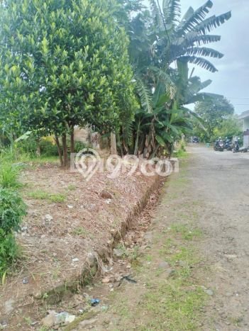 Dijual Rumah Murah di Bojong Gede Bogor Harga Rp 350 Juta LT 195m2 Dijual Rumah Murah di Bojong Gede Bogor Harga Rp 350 Juta LT 195m2