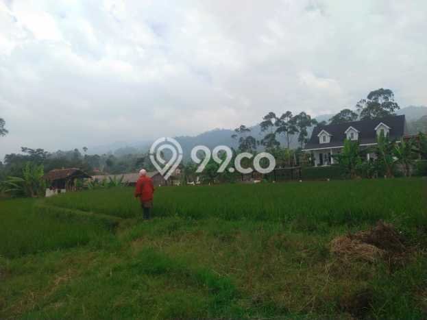 Lahan Investasi Lokasi Ciwidey Bandung AJB Lahan Investasi Lokasi Ciwidey Bandung AJB
