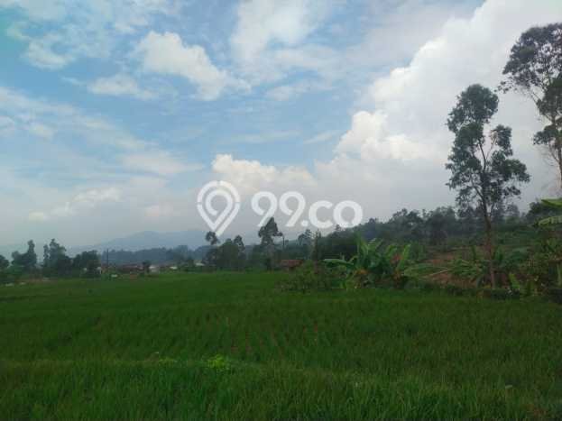 Lahan Investasi Lokasi Ciwidey Bandung AJB Lahan Investasi Lokasi Ciwidey Bandung AJB