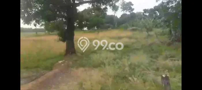 Tanah Dijual Lokasi Cibogo Subang SHM Tanah Dijual Lokasi Cibogo Subang SHM