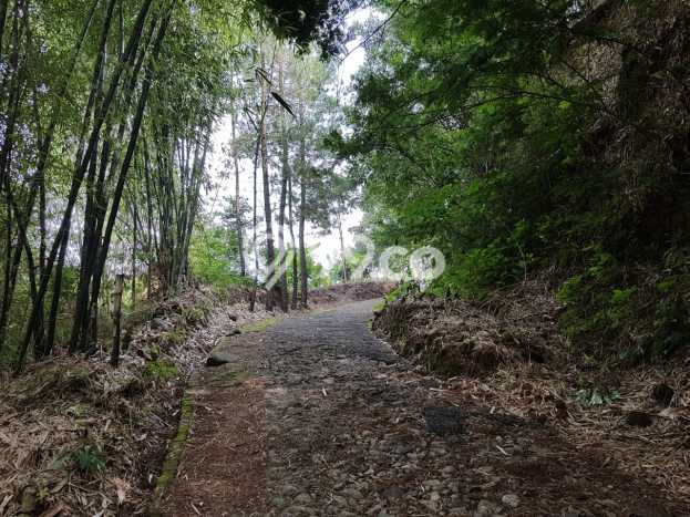 Tanah di Ciwidey, Bandung Luas 20515m2 Dijual Segera Tanah di Ciwidey, Bandung Luas 20515m2 Dijual Segera