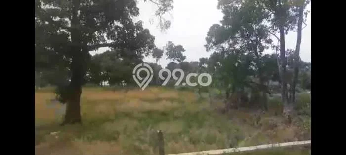Tanah Dijual Lokasi Cibogo Subang SHM Tanah Dijual Lokasi Cibogo Subang SHM