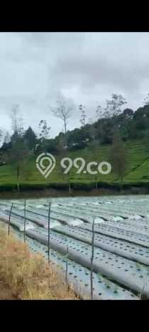 Tanah Kavling di Ciwidey Dijual dengan Luas 2772m2 Tanah Kavling di Ciwidey Dijual dengan Luas 2772m2