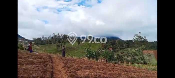 Tanah Komersial Dijual di Ciwidey Bandung 60000m2 Tanah Komersial Dijual di Ciwidey Bandung 60000m2