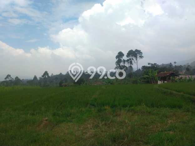 Lahan Investasi Lokasi Ciwidey Bandung AJB Lahan Investasi Lokasi Ciwidey Bandung AJB
