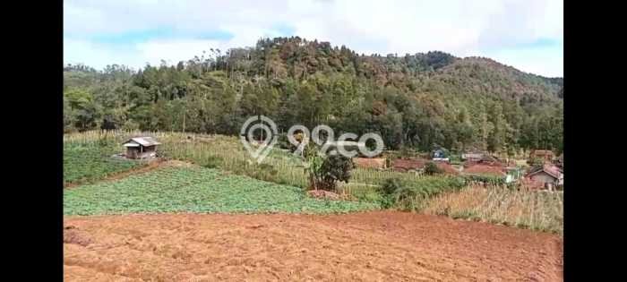 Tanah Komersial Dijual di Ciwidey Bandung 60000m2 Tanah Komersial Dijual di Ciwidey Bandung 60000m2