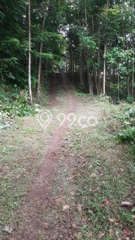 Tanah Dijual Lokasi Sumedang Selatan, Sumedang dengan Luas Tanah 25225m2 dan Status SHM Tanah Dijual Lokasi Sumedang Selatan, Sumedang dengan Luas Tanah 25225m2 dan Status SHM