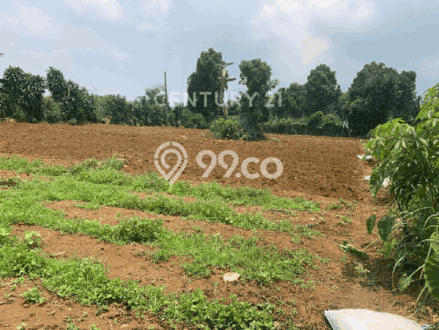Untuk Dijual Tanah di Bogor, Luas 4000m2 SHM Untuk Dijual Tanah di Bogor, Luas 4000m2 SHM