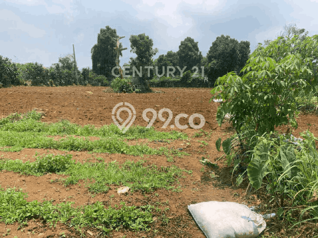Untuk Dijual Tanah di Bogor, Luas 4000m2 SHM Untuk Dijual Tanah di Bogor, Luas 4000m2 SHM