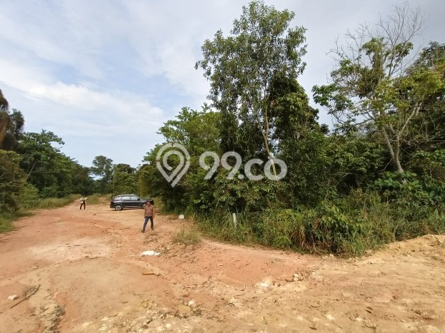 Tanah Strategis Dijual di Nongsa Batam 53803m2 Tanah Strategis Dijual di Nongsa Batam 53803m2