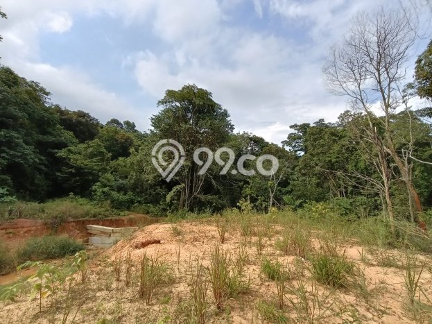 Tanah Strategis Dijual di Nongsa Batam 53803m2 Tanah Strategis Dijual di Nongsa Batam 53803m2