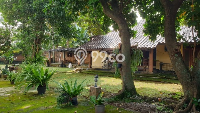 Hunian Mewah Dijual LT 1000m2 di Pasar Minggu, Jakarta Selatan Hunian Mewah Dijual LT 1000m2 di Pasar Minggu, Jakarta Selatan
