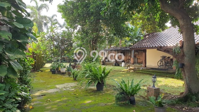 Hunian Mewah Dijual LT 1000m2 di Pasar Minggu, Jakarta Selatan Hunian Mewah Dijual LT 1000m2 di Pasar Minggu, Jakarta Selatan