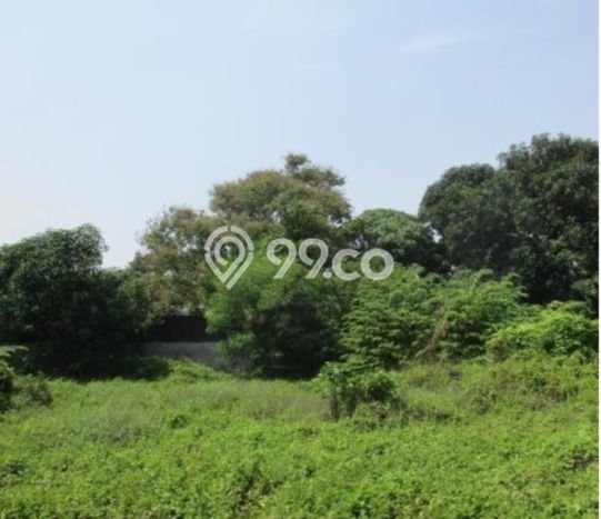 Kavling Tanah Dijual di Kosambi Tangerang Spesifikasi 2645m2 Kavling Tanah Dijual di Kosambi Tangerang Spesifikasi 2645m2