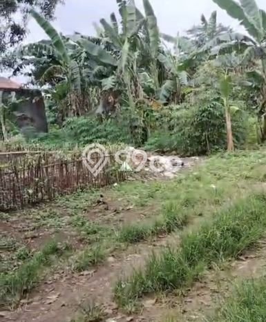 Kavling Tanah untuk Dijual di Ciangsana, Bogor, Luas 3495m2 Kavling Tanah untuk Dijual di Ciangsana, Bogor, Luas 3495m2