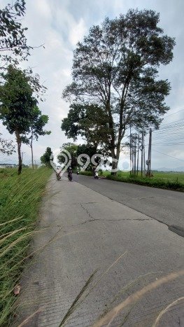 Tanah Strategis Dijual di Rancaekek Bandung 3200m2 Tanah Strategis Dijual di Rancaekek Bandung 3200m2
