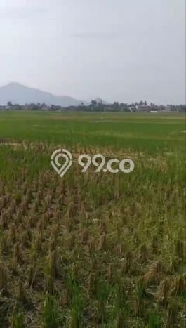 Tanah Dijual Lokasi Rancaekek, Bandung dengan Luas Tanah 500000m2 dan Status SHM Tanah Dijual Lokasi Rancaekek, Bandung dengan Luas Tanah 500000m2 dan Status SHM