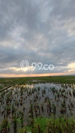 Tanah Strategis Dijual di Rancaekek Bandung 3200m2 Tanah Strategis Dijual di Rancaekek Bandung 3200m2