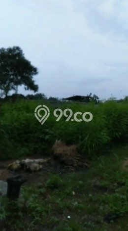 Tanah Dijual Area Strategis di Kalideres Jakarta Barat 5300m2 Tanah Dijual Area Strategis di Kalideres Jakarta Barat 5300m2
