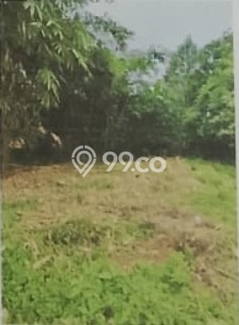Kavling Tanah di Serang Baru Dijual Luas 229m2 Legalitas - Kavling Tanah di Serang Baru Dijual Luas 229m2 Legalitas -