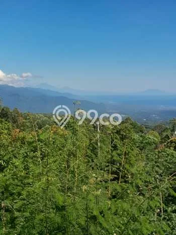Tanah Dijual Lokasi Strategis di Buleleng dengan Luas 4000m2 Tanah Dijual Lokasi Strategis di Buleleng dengan Luas 4000m2