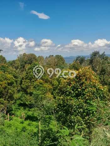 Tanah Dijual Lokasi Strategis di Buleleng dengan Luas 4000m2 Tanah Dijual Lokasi Strategis di Buleleng dengan Luas 4000m2
