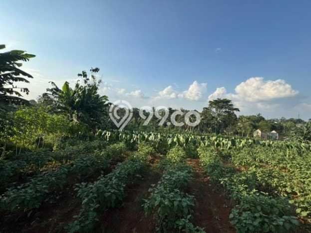 Lahan Kosong Dijual di Kemang, Bogor, Luas 22000m2 Area Strategis Lahan Kosong Dijual di Kemang, Bogor, Luas 22000m2 Area Strategis