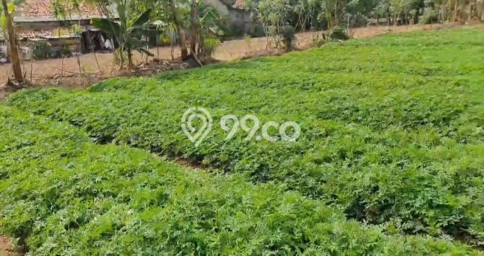 Tanah Komersial Dijual di Babelan Bekasi 2478m2 Tanah Komersial Dijual di Babelan Bekasi 2478m2