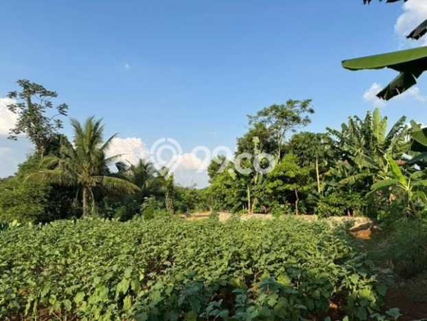 Lahan Kosong Dijual di Kemang, Bogor, Luas 22000m2 Area Strategis Lahan Kosong Dijual di Kemang, Bogor, Luas 22000m2 Area Strategis