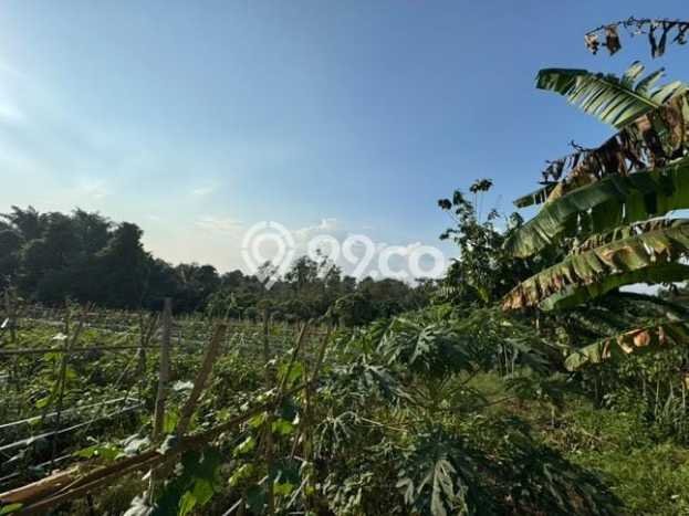 Lahan Kosong Dijual di Kemang, Bogor, Luas 22000m2 Area Strategis Lahan Kosong Dijual di Kemang, Bogor, Luas 22000m2 Area Strategis