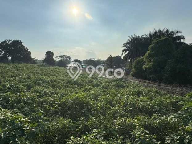 Lahan Kosong Dijual di Kemang, Bogor, Luas 22000m2 Area Strategis Lahan Kosong Dijual di Kemang, Bogor, Luas 22000m2 Area Strategis