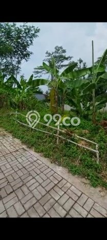 Tanah Siap Bangun Dijual di Cianjur Punya Luas 440m2 Tanah Siap Bangun Dijual di Cianjur Punya Luas 440m2