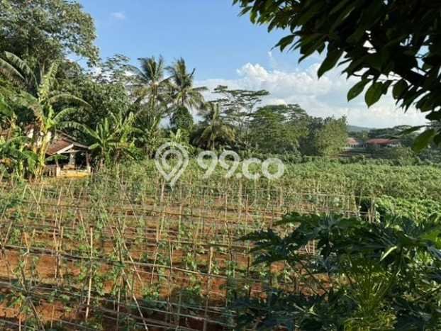 Lahan Kosong Dijual di Kemang, Bogor, Luas 22000m2 Area Strategis Lahan Kosong Dijual di Kemang, Bogor, Luas 22000m2 Area Strategis