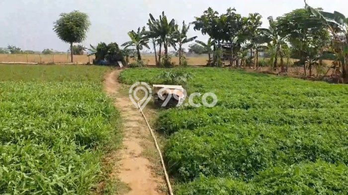 Tanah Komersial Dijual di Babelan Bekasi 2478m2 Tanah Komersial Dijual di Babelan Bekasi 2478m2